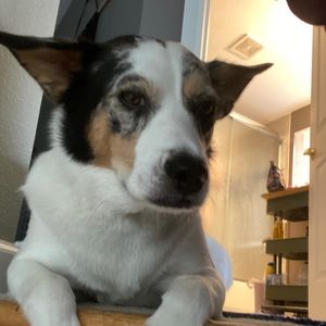 Meet your Posher, Margaret